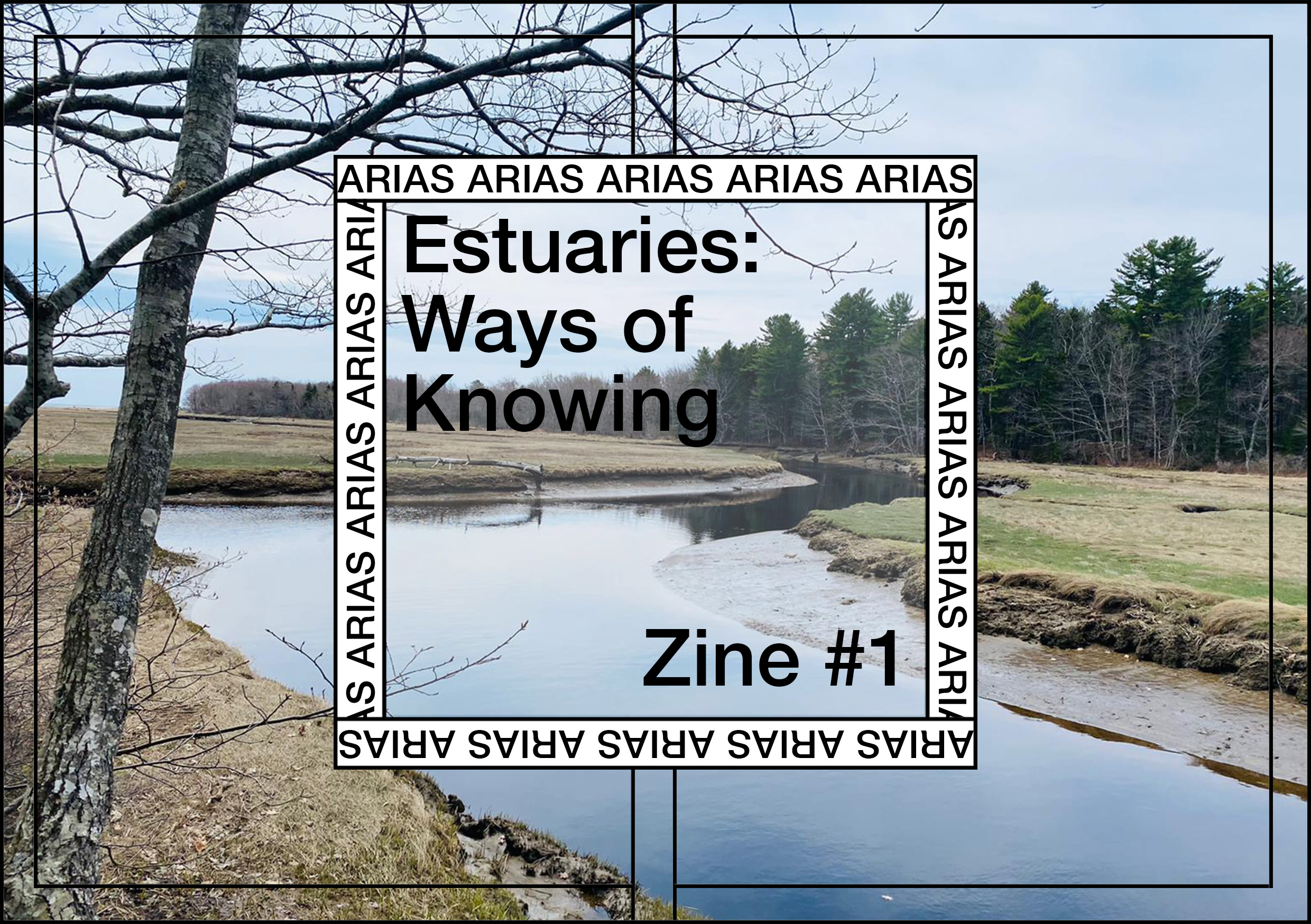 Zine Distribution, Estuaries: Ways of Knowing